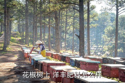 花椒樹(shù)上 洋豐肥料怎么樣