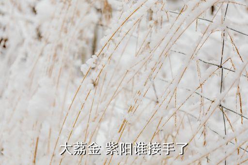 大荔金 紫陽(yáng)誰接手了