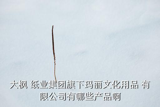 大楓 紙業(yè)集團(tuán)旗下瑪麗文化用品 有限公司有哪些產(chǎn)品啊