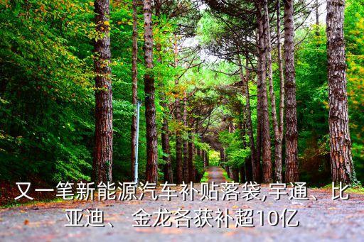又一筆新能源汽車補貼落袋,宇通、比亞迪、 金龍各獲補超10億