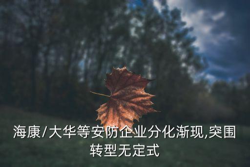 ?？?大華等安防企業(yè)分化漸現(xiàn),突圍轉(zhuǎn)型無定式