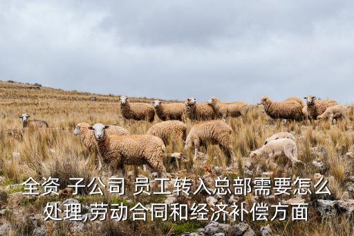 子公司員工調入母公司,母公司員工可以代理子公司出庭嗎