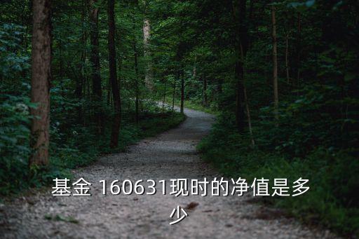 基金 160631現時的凈值是多少