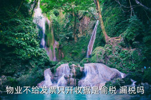 物業(yè)不給發(fā)票只開收據是偷稅 漏稅嗎