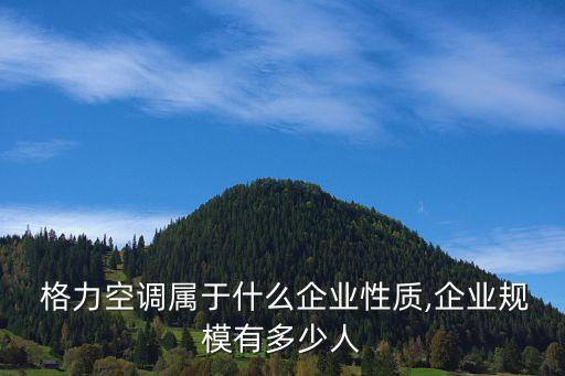 格力集團總經理,珠海格力集團總經理