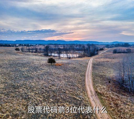 100開(kāi)頭股票,30開(kāi)頭的是什么股票