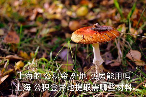 上海公積金在外地買(mǎi)房