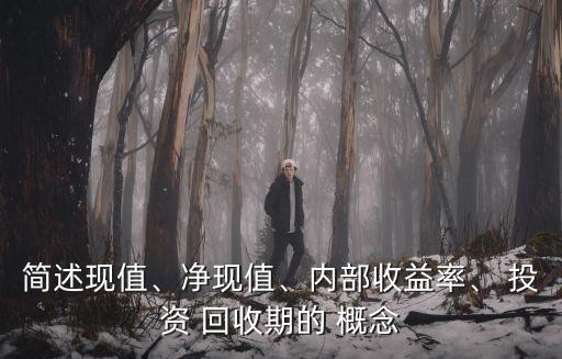 簡(jiǎn)述現(xiàn)值、凈現(xiàn)值、內(nèi)部收益率、 投資 回收期的 概念