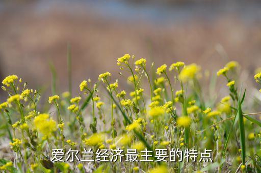  愛爾蘭經(jīng)濟(jì)最主要的特點
