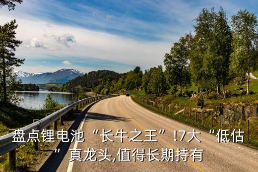 中化國際貿易股份有限公司,博科國際貿易股份有限公司怎么樣