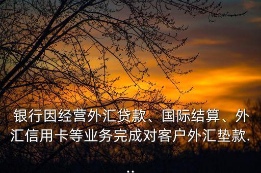  銀行因經(jīng)營外匯貸款、國際結(jié)算、外匯信用卡等業(yè)務(wù)完成對客戶外匯墊款...