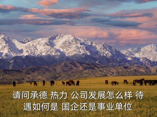 請(qǐng)問(wèn)承德 熱力 公司發(fā)展怎么樣 待遇如何是 國(guó)企還是事業(yè)單位