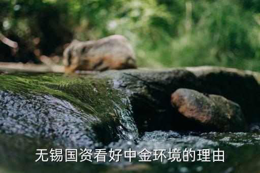無錫國(guó)資看好中金環(huán)境的理由
