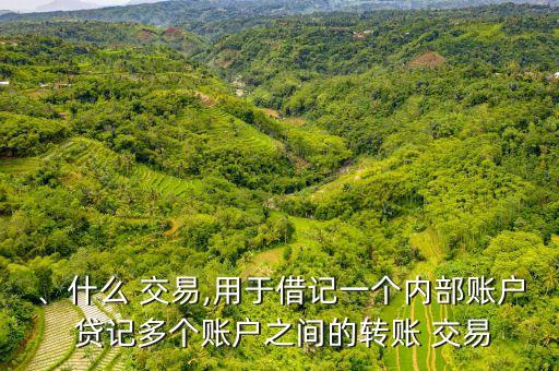 、什么 交易,用于借記一個(gè)內(nèi)部賬戶 貸記多個(gè)賬戶之間的轉(zhuǎn)賬 交易
