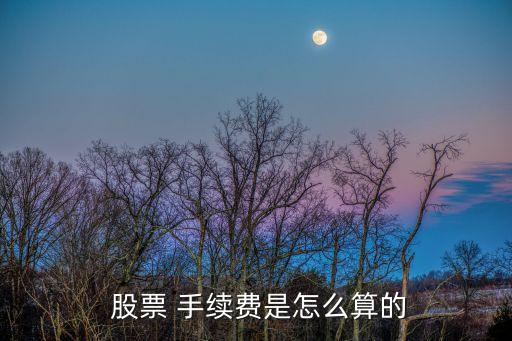  股票 手續(xù)費是怎么算的