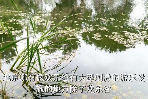 北京哪有像歡樂(lè)谷有大型刺激的游樂(lè)設(shè)施的地方除了歡樂(lè)谷