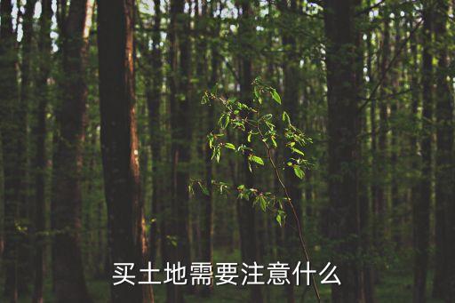 買(mǎi)土地需要注意什么