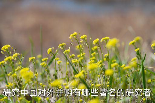 中國收購世界技術