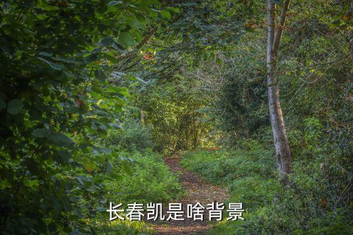 長春市農康投資發(fā)展有限公司