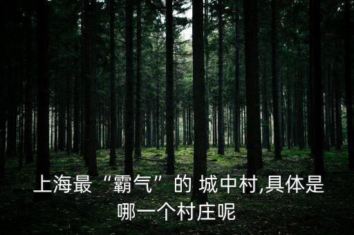  上海最“霸氣”的 城中村,具體是哪一個(gè)村莊呢