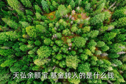  天弘余額寶 基金轉(zhuǎn)入的是什么錢(qián)
