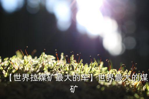 【世界拉煤礦最大的車(chē)】世界最大的煤礦
