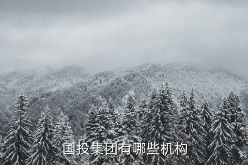  國(guó)投集團(tuán)有哪些機(jī)構(gòu)