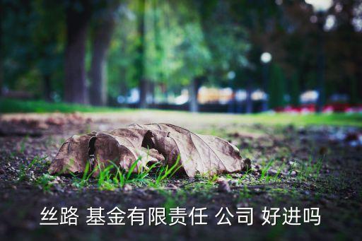 絲路 基金有限責(zé)任 公司 好進嗎