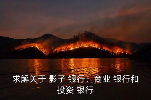 求解關(guān)于 影子 銀行、商業(yè) 銀行和投資 銀行
