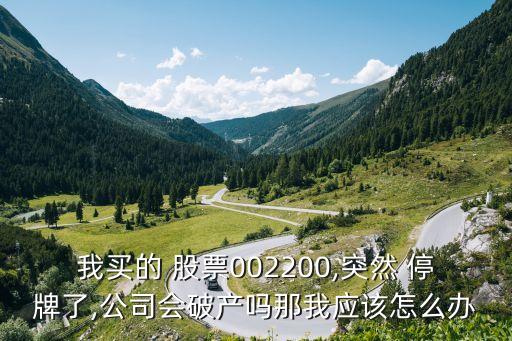 我買的 股票002200,突然 停牌了,公司會破產嗎那我應該怎么辦
