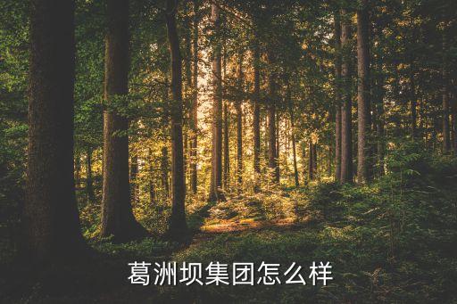 中同葛洲壩五公司,葛洲壩五公司現任董事長