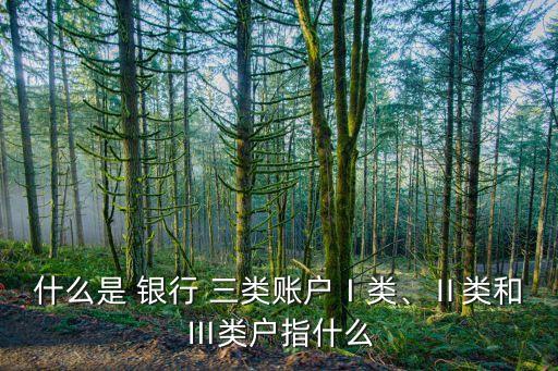 什么是 銀行 三類賬戶Ⅰ類、Ⅱ類和Ⅲ類戶指什么