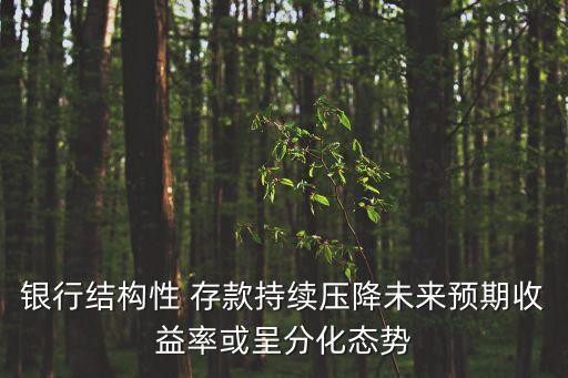銀行結構性 存款持續(xù)壓降未來預期收益率或呈分化態(tài)勢