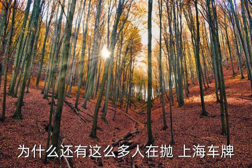 為什么還有這么多人在拋 上海車(chē)牌