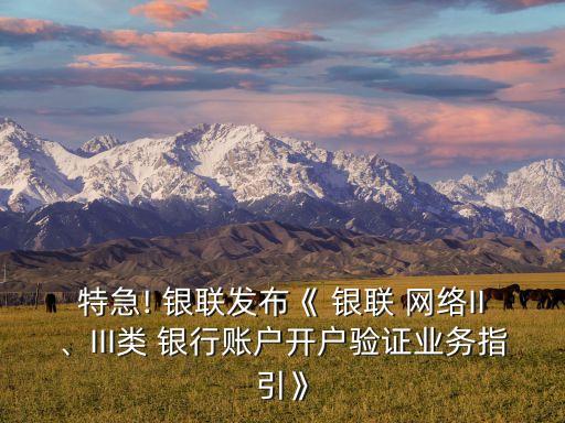 特急! 銀聯(lián)發(fā)布《 銀聯(lián) 網(wǎng)絡(luò)II、III類 銀行賬戶開戶驗證業(yè)務(wù)指引》