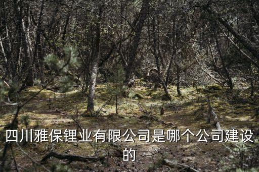 四川雅保鋰業(yè)有限公司是哪個(gè)公司建設(shè)的