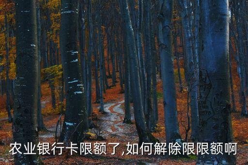 農(nóng)行和股票賬戶(hù)限制,股票賬戶(hù)限制交易是什么意思