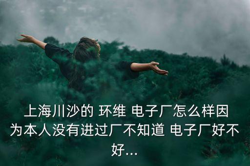  上海川沙的 環(huán)維 電子廠怎么樣因?yàn)楸救藳]有進(jìn)過廠不知道 電子廠好不好...