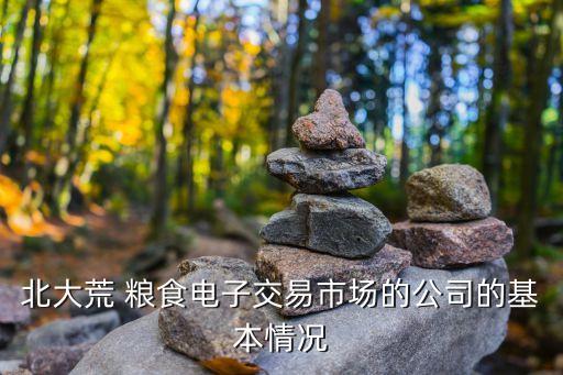 北大荒 糧食電子交易市場(chǎng)的公司的基本情況