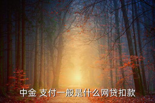 中金支付為什么綁定不了銀行卡