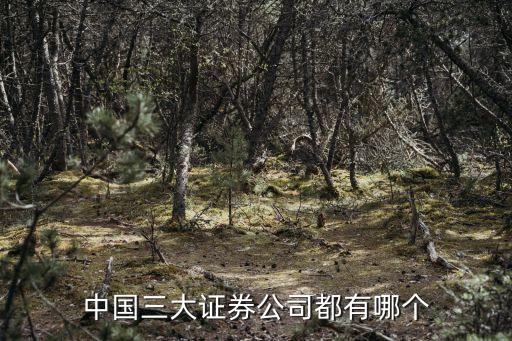 中國三大股票交易所,為什么一個股票三大交易所都可以報(bào)價