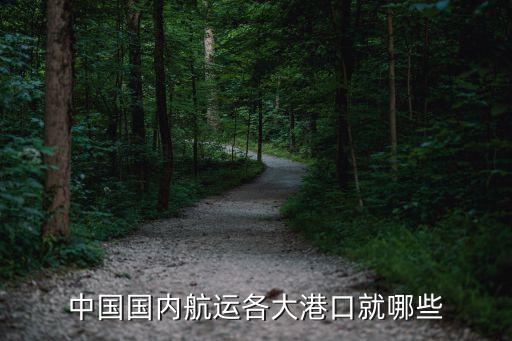 中國國內(nèi)航運各大港口就哪些