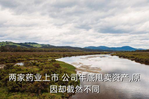 兩家藥業(yè)上市 公司年底甩賣資產,原因卻截然不同