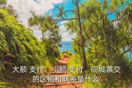  大額 支付、小額 支付、同城票交的區(qū)別和聯(lián)系是什么