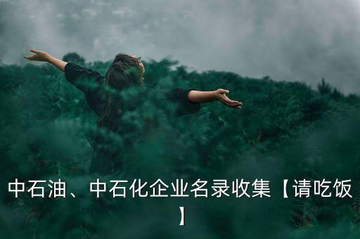 中石油、中石化企業(yè)名錄收集【請吃飯】