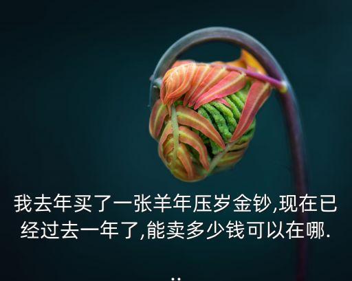 我去年買了一張羊年壓歲金鈔,現(xiàn)在已經(jīng)過(guò)去一年了,能賣多少錢(qián)可以在哪...