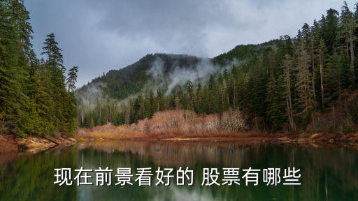 現在前景看好的 股票有哪些