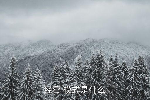 公司業(yè)務(wù)運(yùn)營模式,平臺(tái)公司公司業(yè)務(wù)運(yùn)營模式