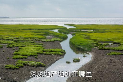 深深地產地址在哪里