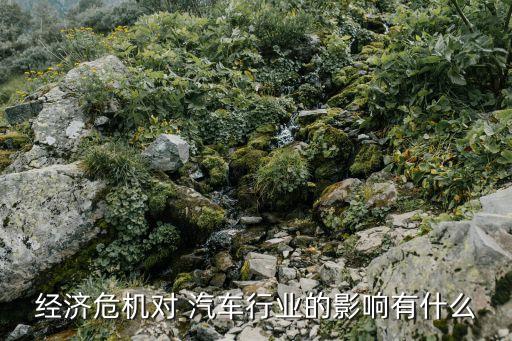 經(jīng)濟(jì)危機對 汽車行業(yè)的影響有什么